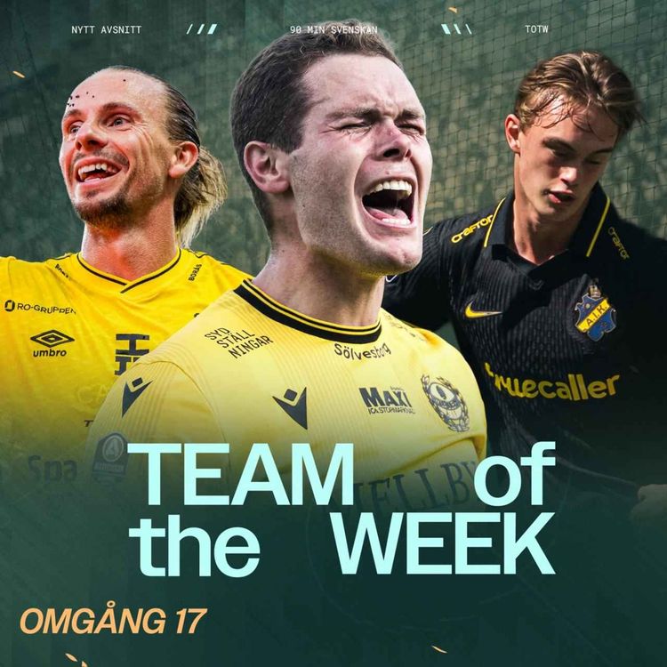 cover art for TOTW - Omgång #17