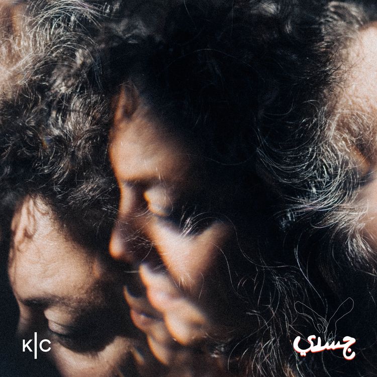 cover art for عندما خذلني الميلانين