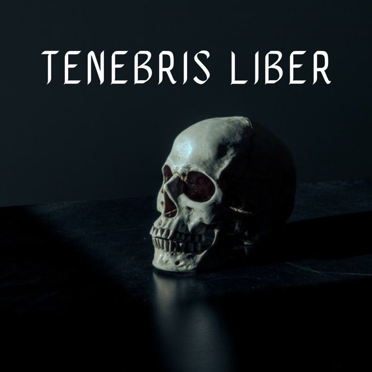 cover art for La Nave Blanca