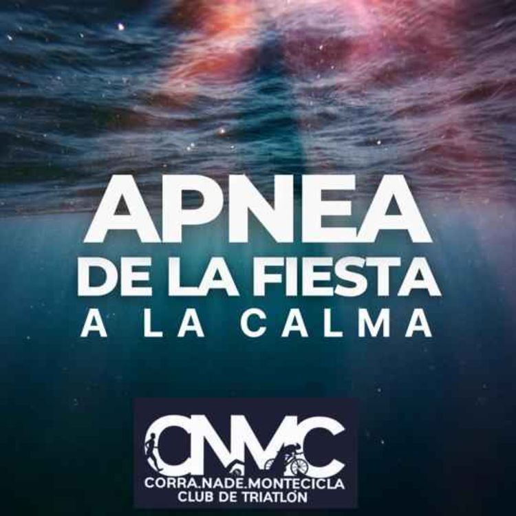 cover art for De la fiesta a la calma