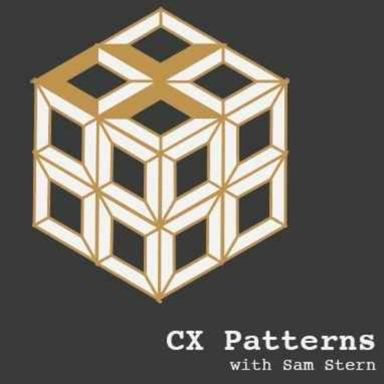 cover art for Digital-First Customer Experiences: Loose Thread / Missing Thread