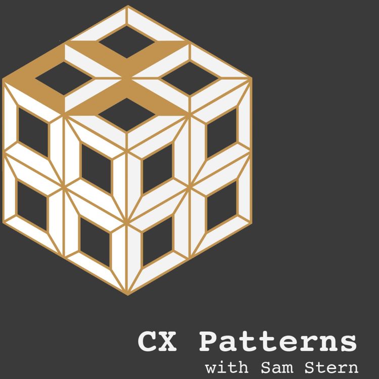 cover art for CX Teams Deserve Accountability Partners Too - Mini Episode