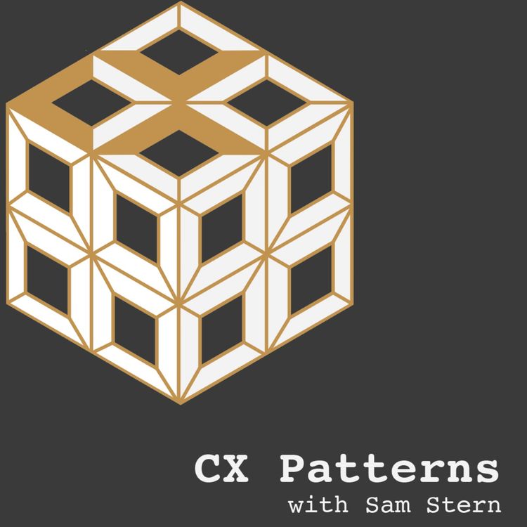 cover art for CX Scores vs. The Hedonic Treadmill With Megan Burns