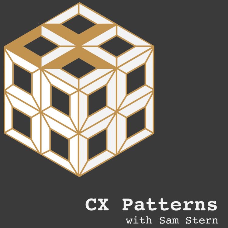 cover art for Customer Experience Success Is As Hard As It's Ever Been With Megan Burns