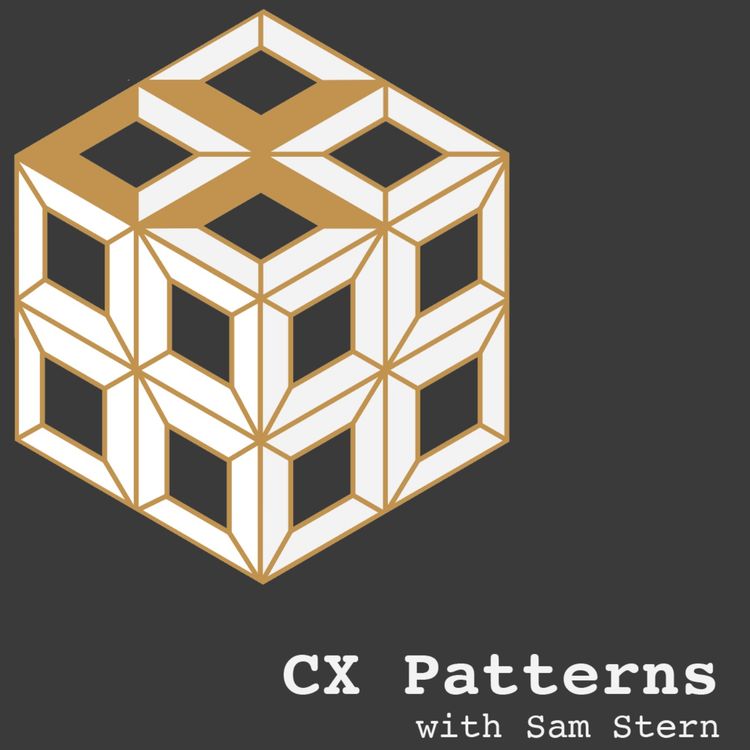 cover art for What To Do When It's Hard To Do CX - Partnership & Perserverance