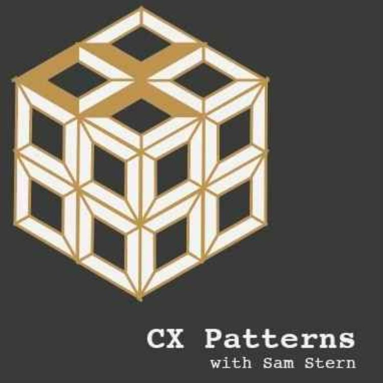 cover art for How To Address The Root Causes Of Frustrations From Waiting