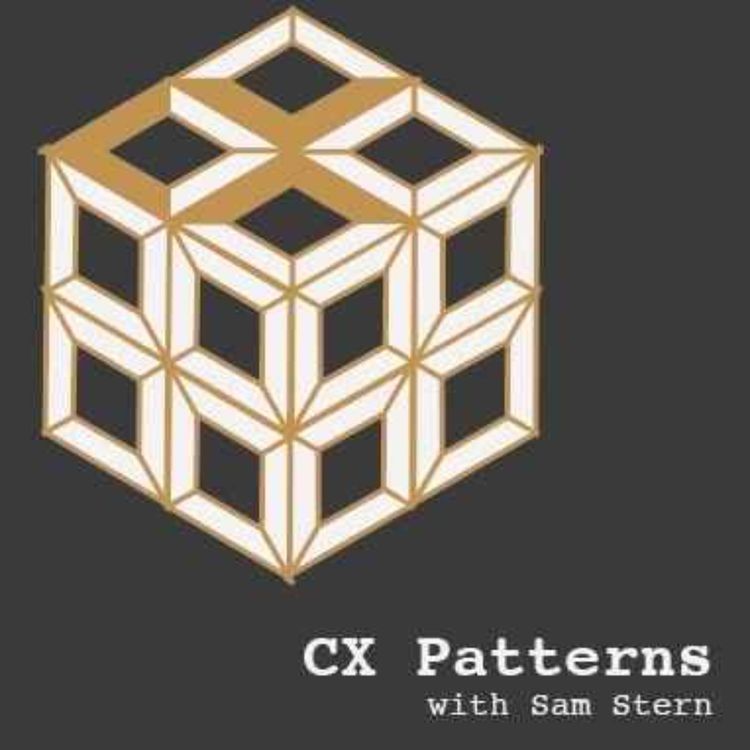 cover art for Which Parts Of Your CX Need AI?