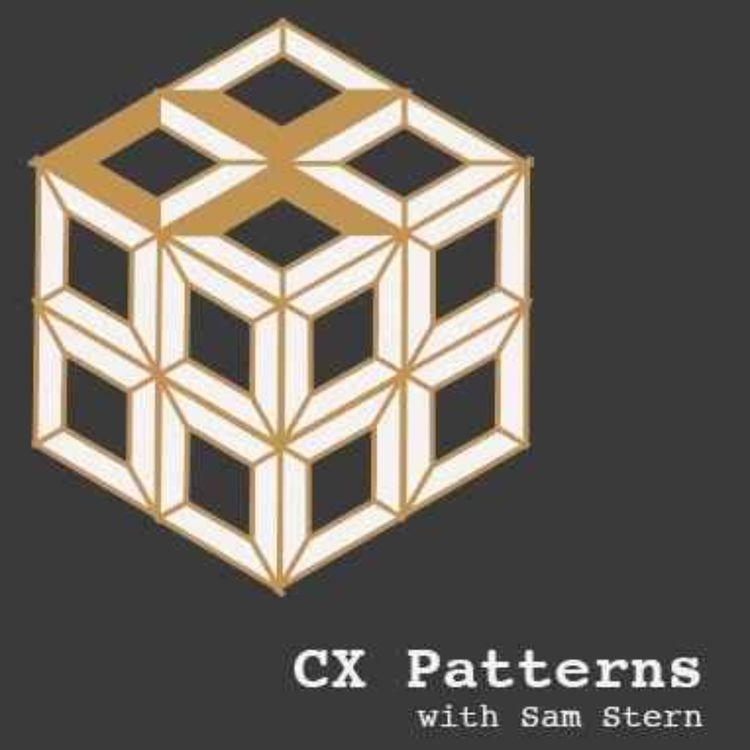 cover art for Creating The CX Standards With Erin Wallace From Bain