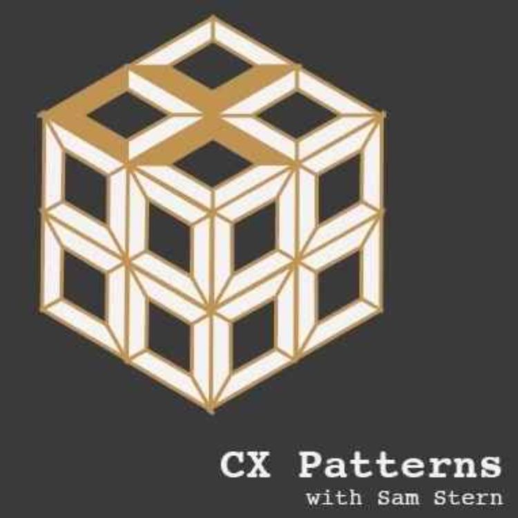 cover art for CX Shortcomings Explained By Chesterton's Fence & Black Swans