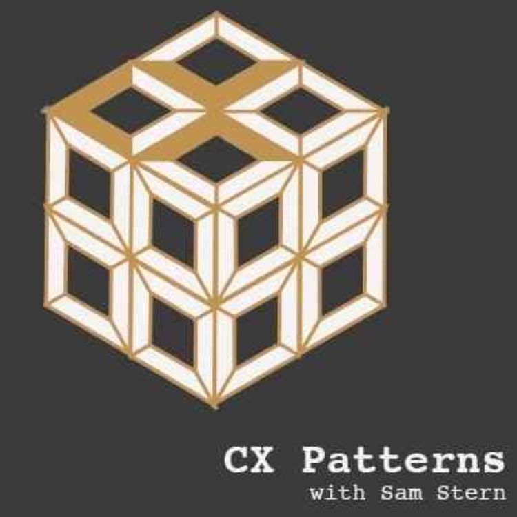 cover art for CX As Teenager: Back To Childhood Curiosity? Or Forward To Adulthood Maturity? 