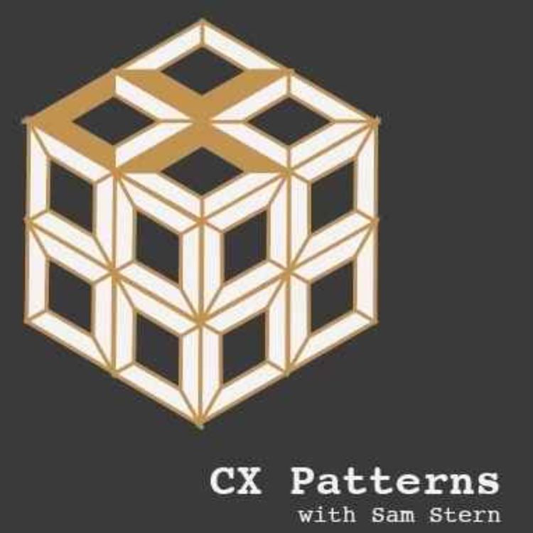 cover art for 100 Days Into 2025 - Are You On Track With Your CX Goals?