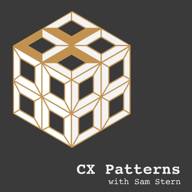 cover art for You Will Have To Take Responsibility For Problems That Aren't Yours To Solve