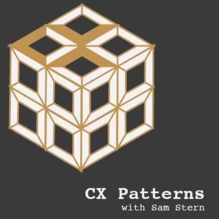 cover art for CX Execution Secrets With Salman Sharif