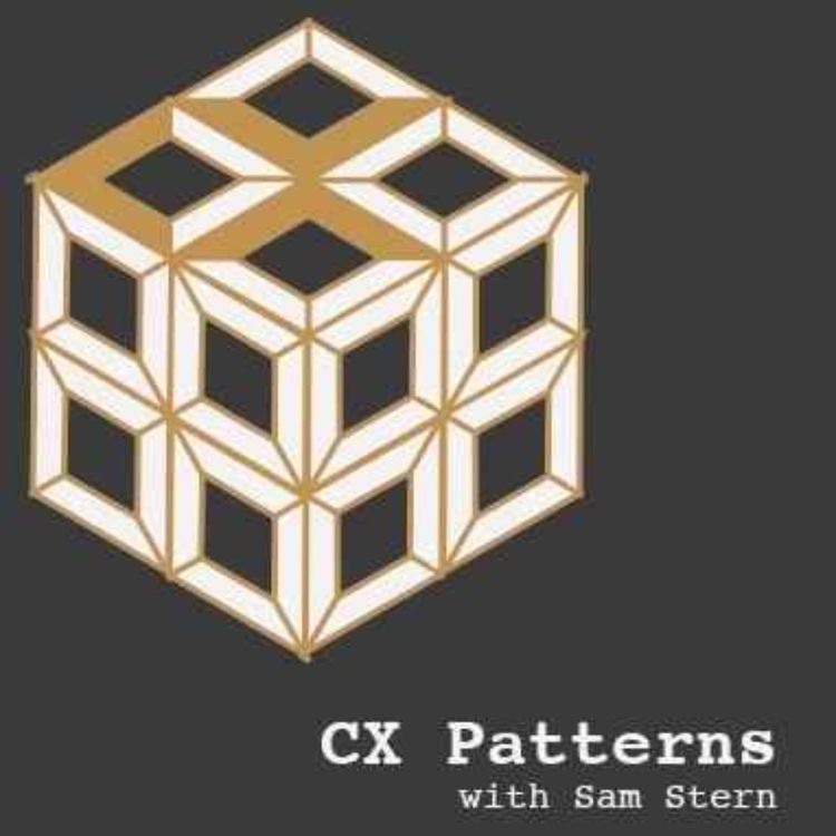 cover art for Psychology of CX 101 Book Launch Episode with Author Mark Levy