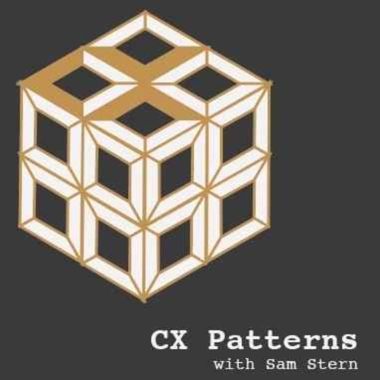 cover art for The CX - EX Leadership Your Company Needs 