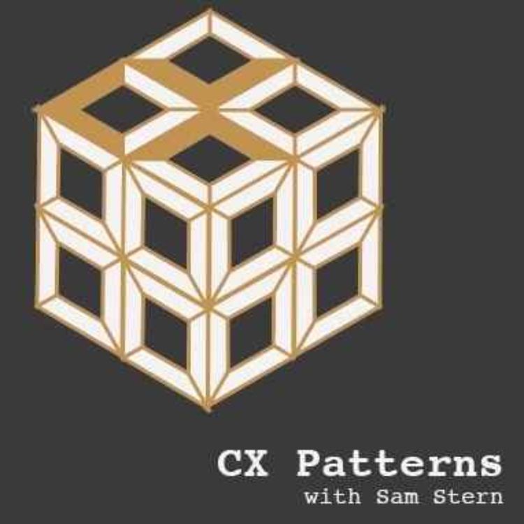 cover art for Stated Preferences or Revealed Preferences? Neither? Both?