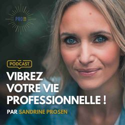 cover art for Vibrez Votre Vie Professionnelle! Par Sandrine Krief (Prosen)