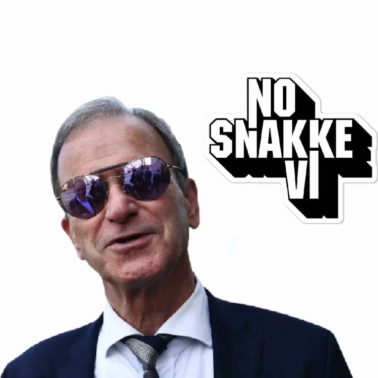 cover art for Episode 42 - Nils Skutle 