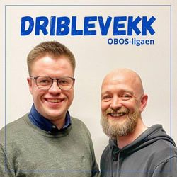 cover art for Driblevekk