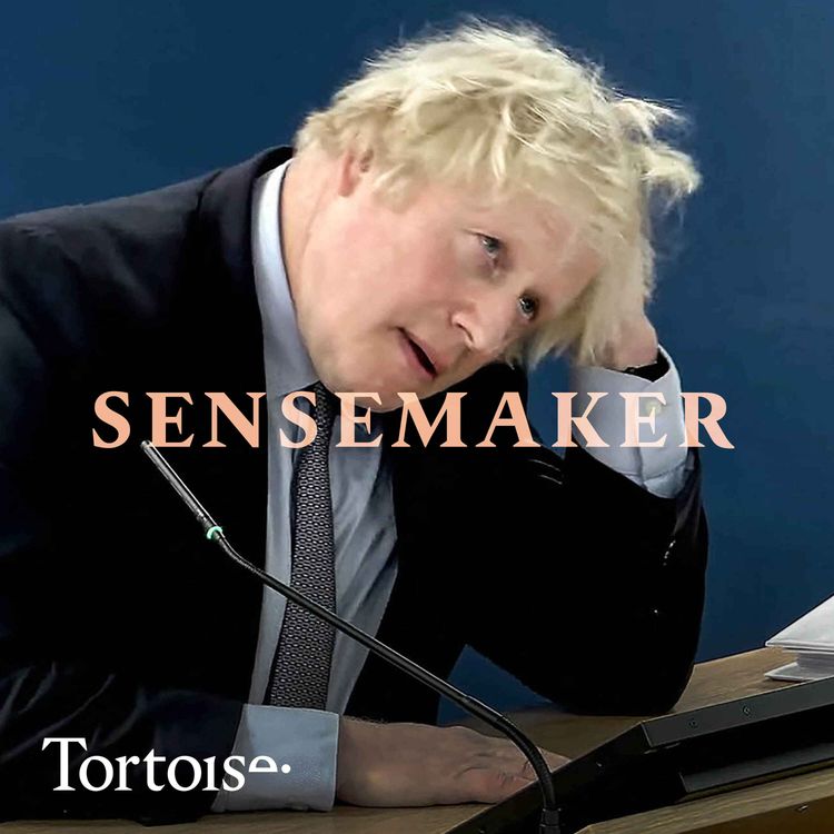 cover art for Sensemaker: Boris Johnson at the Covid inquiry  