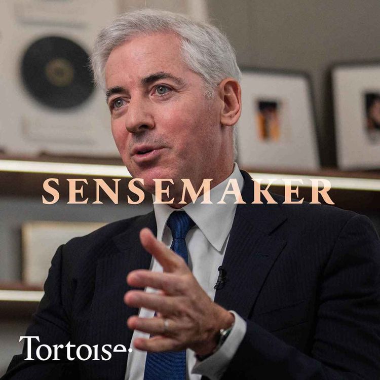 cover art for Sensemaker: Bill Ackman and the battle for the future of Harvard