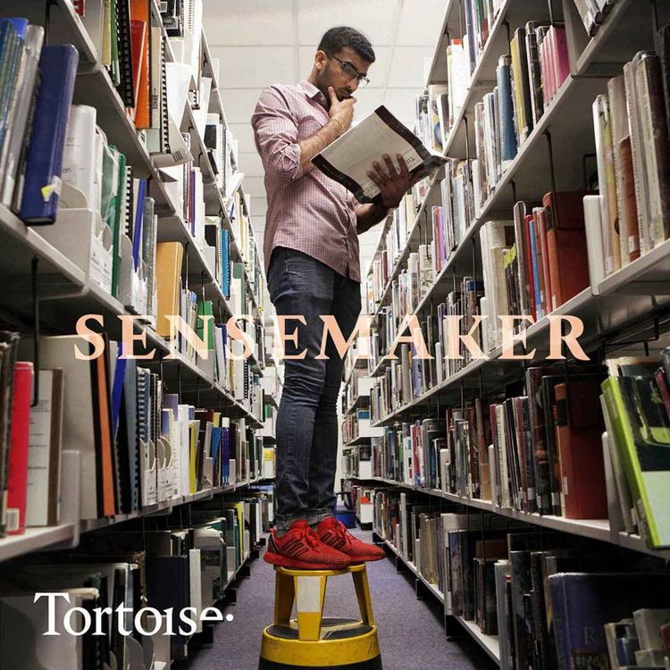 cover art for Sensemaker: Why UK universities face testing times