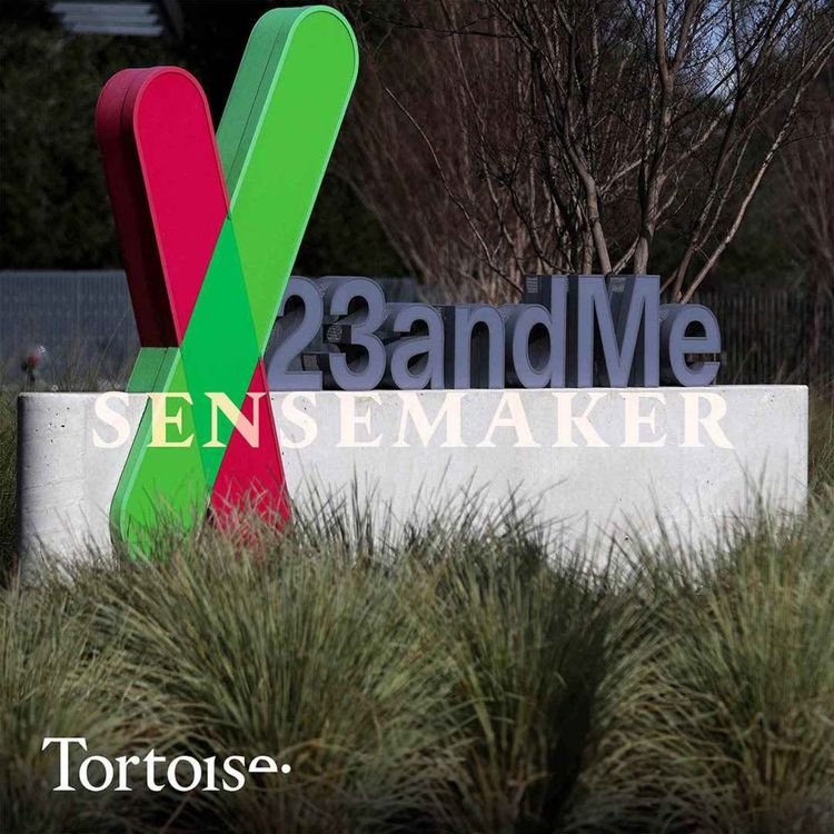 cover art for Sensemaker: 23andMe’s cybercrime crisis