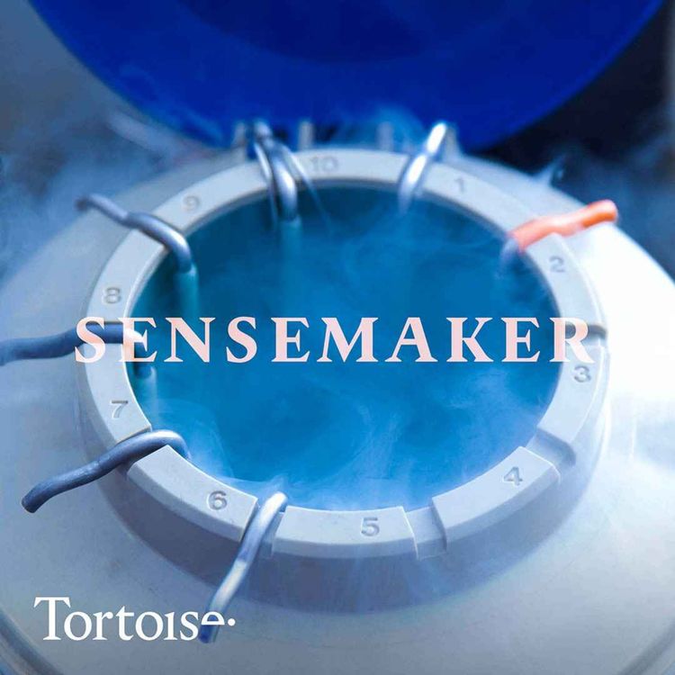 cover art for Sensemaker: When egg freezing goes wrong