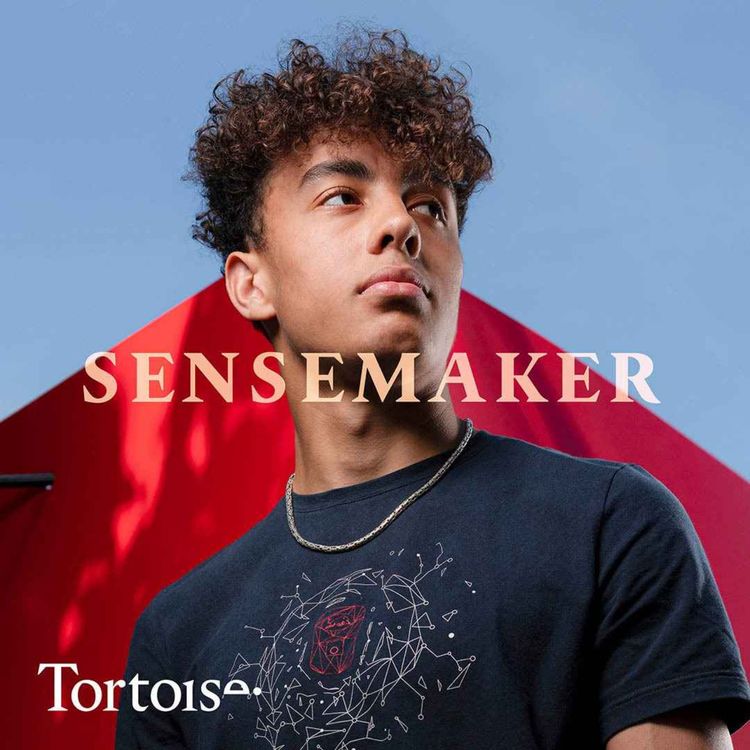 cover art for Sensemaker: A health warning from an esports star