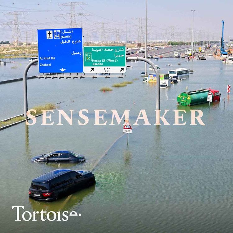 cover art for Sensemaker: Why the internet is arguing about flooding in Dubai