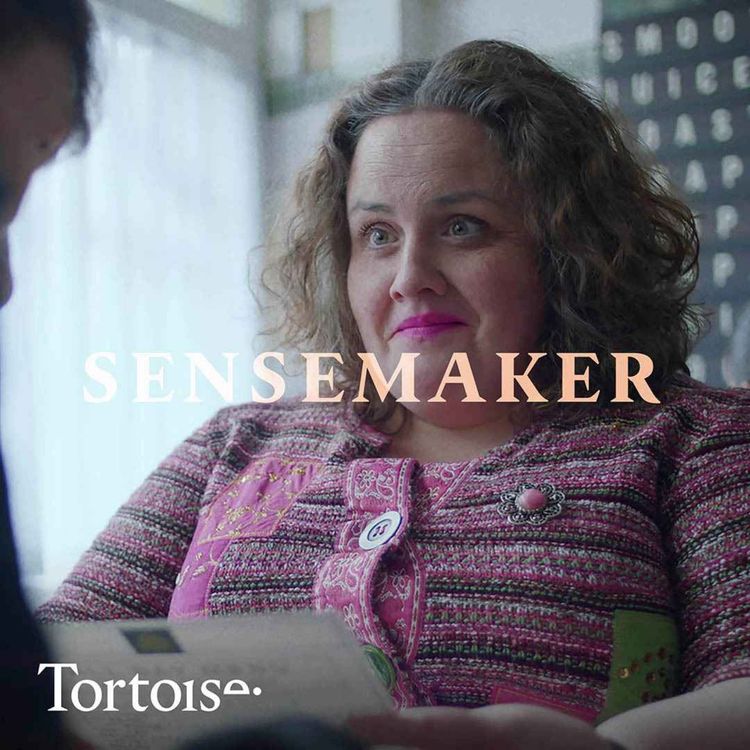 cover art for Sensemaker: Netflix's Baby Reindeer problem