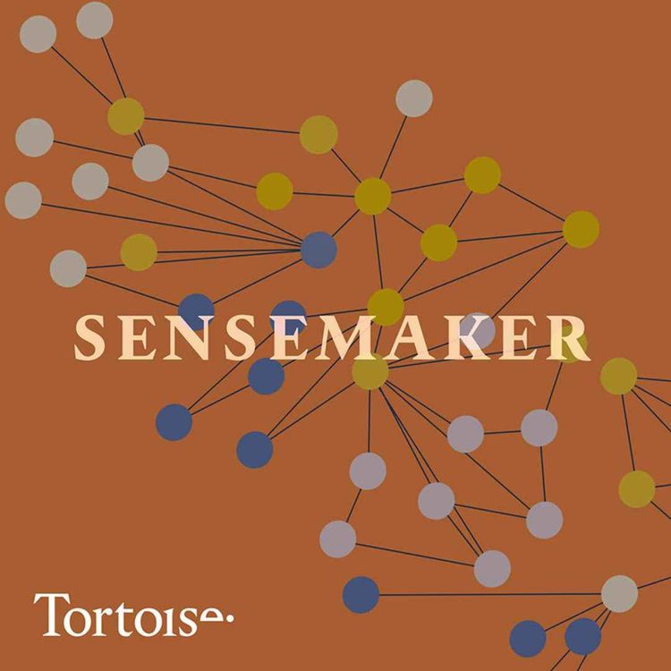 cover art for Sensemaker: Is AI capable of reasoning?