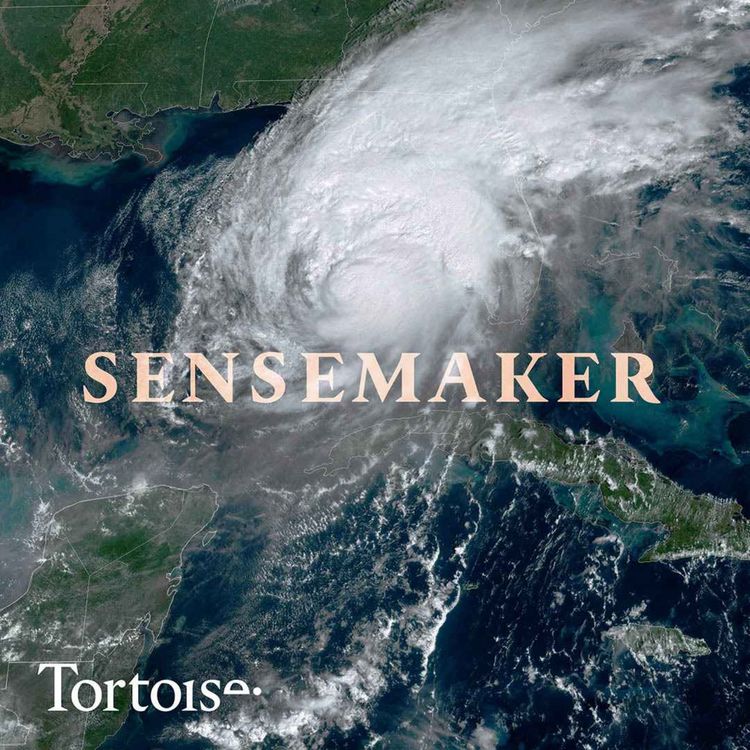 cover art for Sensemaker: Did climate change make Hurricane Milton stronger?