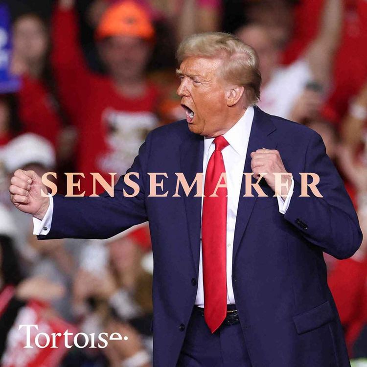 cover art for Sensemaker: How did Donald Trump pull it off?