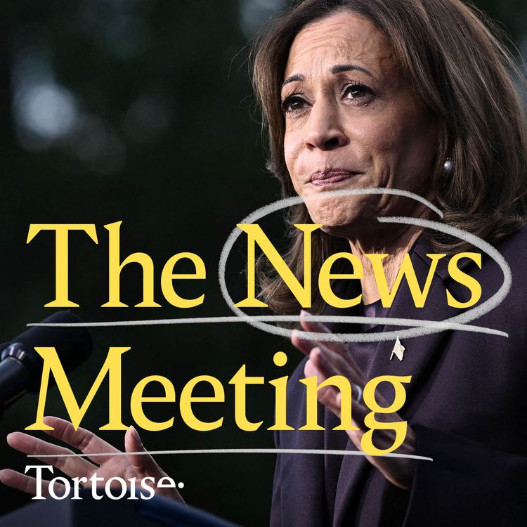 cover art for News Meeting: Why Kamala Harris’s bet on abortion rights didn’t pay off and mass deportations