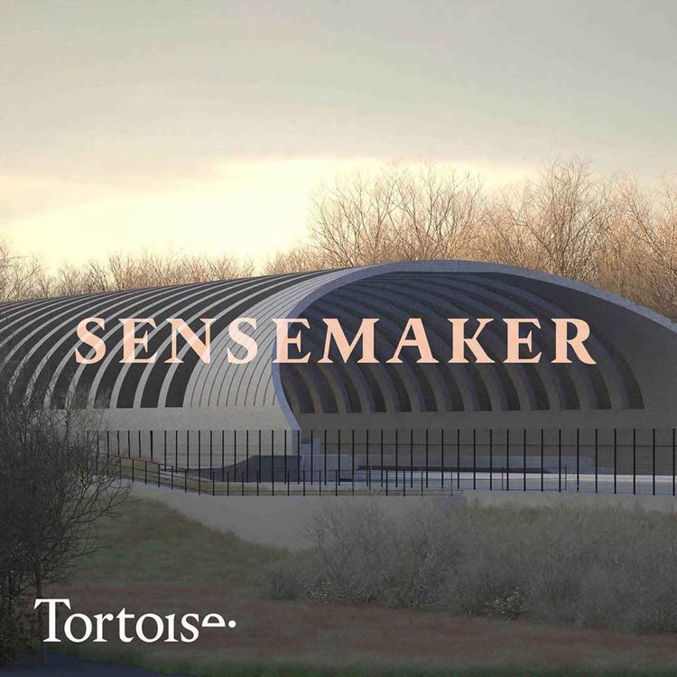 cover art for  Sensemaker: Why will HS2 spend £100 million on a bat tunnel?