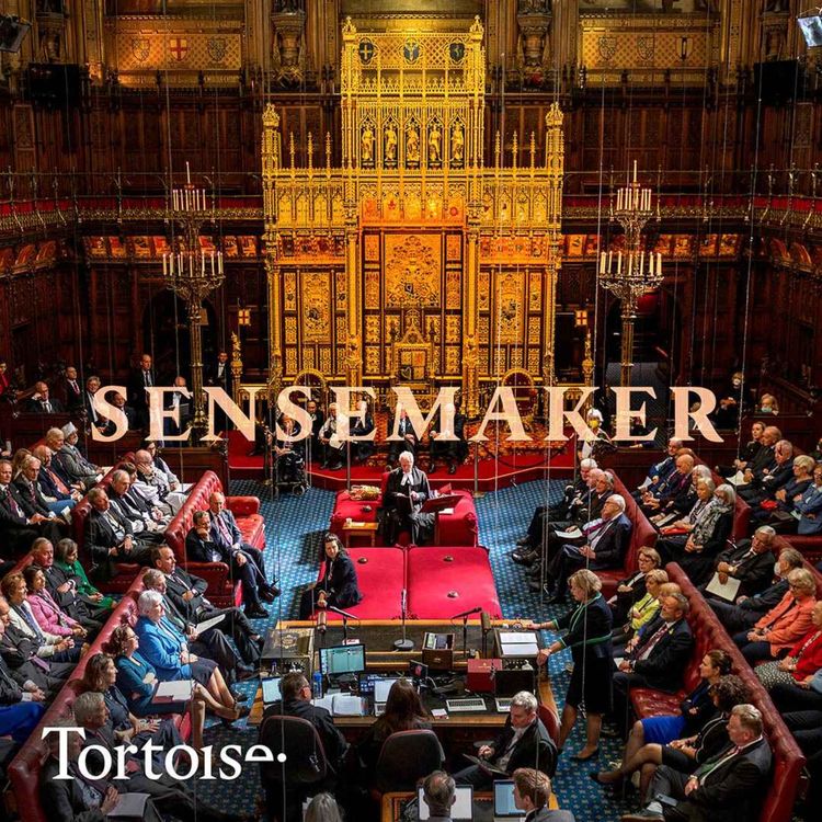 cover art for Sensemaker: Who do the Lords work for?