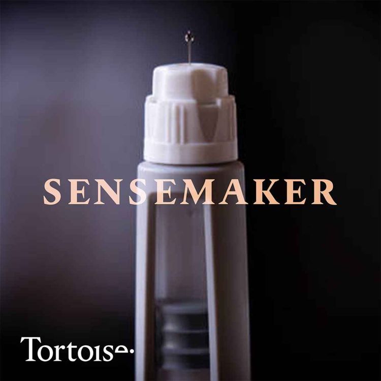 cover art for Sensemaker: Denmark's gold rush town