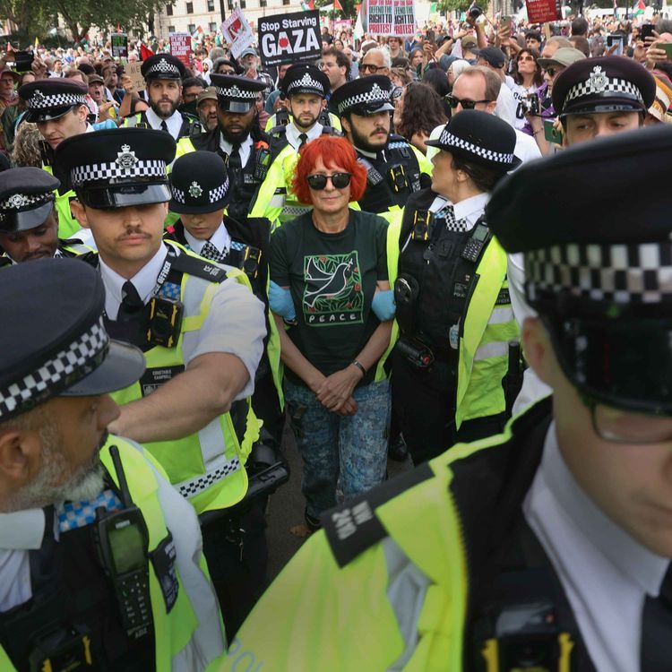 cover art for Why are older people risking arrest for Palestine Action?