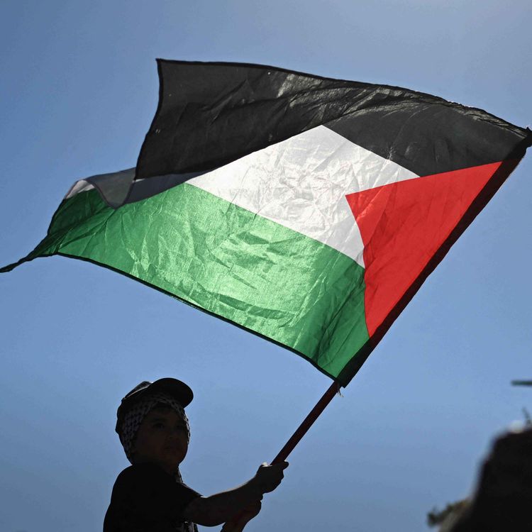 cover art for What does it mean to recognise a Palestinian state?