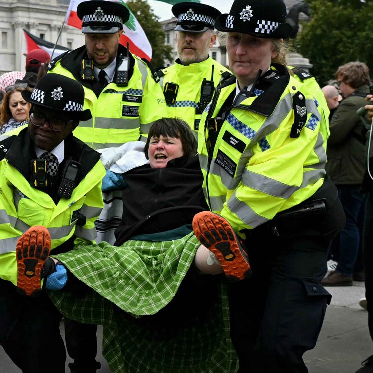 cover art for Why is the government giving the police more power to stop protesters?