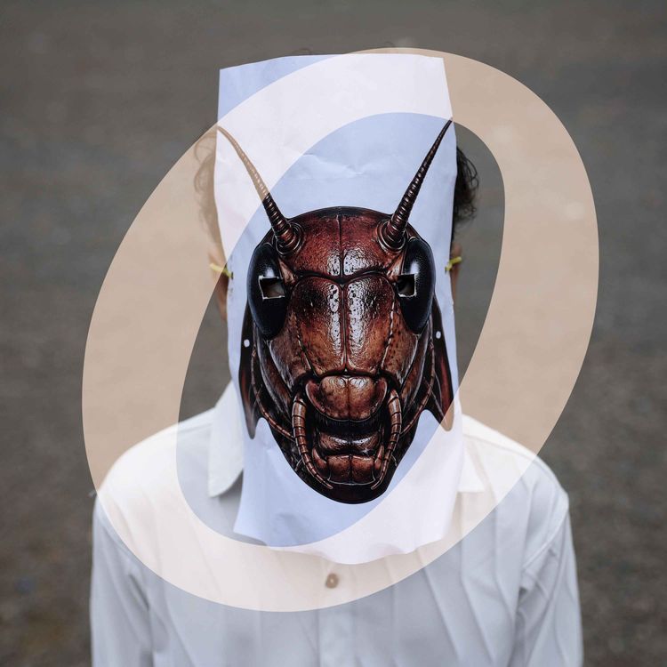 cover art for What's behind India's 'cockroach' protests?