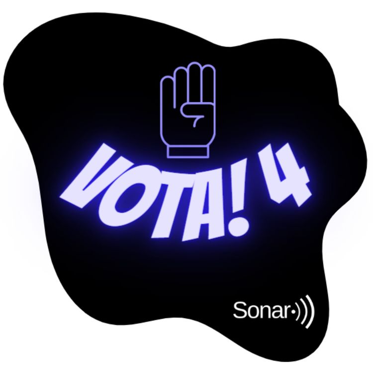 cover art for Programa Vota 4