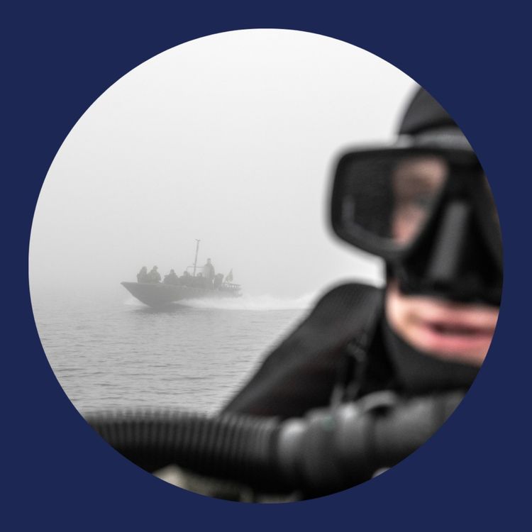 cover art for Marinen 42:a Minröjnings divisionen på Berga