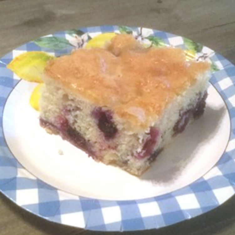 cover art for Blueberry Picnic Cake