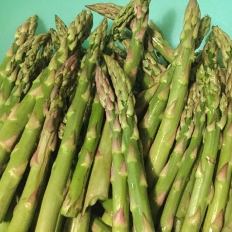 cover art for All Things Asparagus