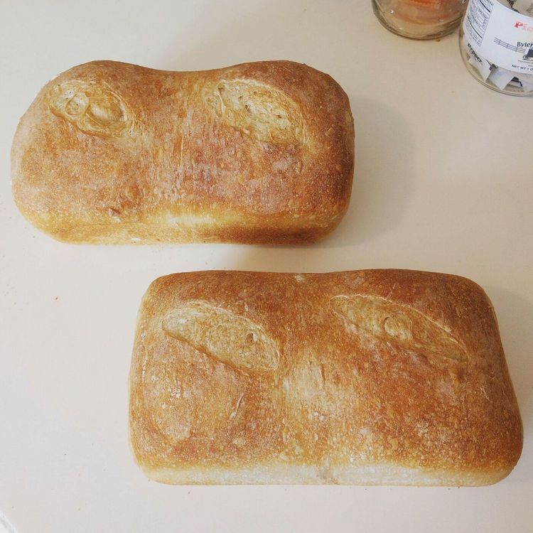 cover art for Sourdough Starter