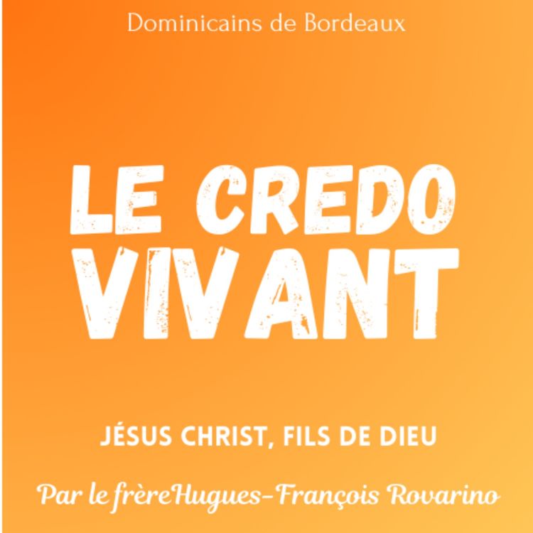 cover art for Jésus Christ, fils de Dieu, éclairé par Saint Paul - par le frère Hugues-François Rovarino