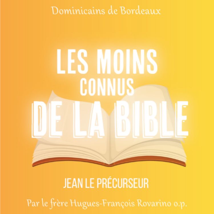 cover art for Jean le précurseur - par le frère Hugues-François Rovarino