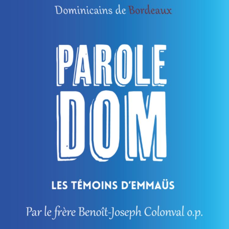 cover art for Les témoins d'Emmaüs